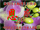 北京大法弟子庆祝世界法轮大法日(20条)