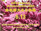教育系统大法弟子庆祝世界法轮大法日(20条)