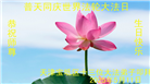 天津大法弟子庆祝世界法轮大法日(20条)