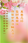 潍坊大法弟子庆祝世界法轮大法日(22条)