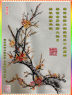 云南大法弟子庆祝世界法轮大法日(19条)