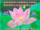 山东大法弟子庆祝世界法轮大法日(20条)