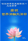 哈尔滨大法弟子庆祝世界法轮大法日(20条)