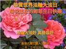 台湾、香港大法弟子庆祝世界法轮大法日
