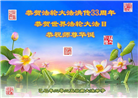 云南大法弟子庆祝世界法轮大法日(19条)