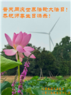 江苏大法弟子庆祝世界法轮大法日(20条)