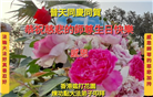 台湾、香港大法弟子庆祝世界法轮大法日
