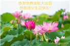 福建大法弟子庆祝世界法轮大法日(20条)