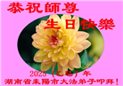 湖南大法弟子庆祝世界法轮大法日(19条)