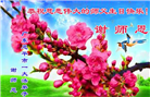 大法福益众生　中国百姓感谢李大师恩德
