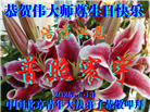 北京大法弟子庆祝世界法轮大法日(22条)