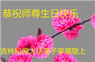 吉林省大法弟子庆祝世界法轮大法日(20条)