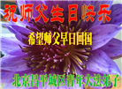 北京大法弟子庆祝世界法轮大法日(19条)