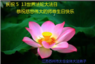 江苏大法弟子庆祝世界法轮大法日(18条)