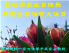 四川大法弟子庆祝世界法轮大法日(23条)