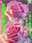 葫芦岛大法弟子庆祝世界法轮大法日(23条)