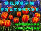 四川大法弟子庆祝世界法轮大法日(23条)
