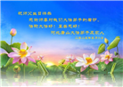 唐山大法弟子庆祝世界法轮大法日(19条)