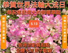 台湾、香港大法弟子庆祝世界法轮大法日