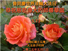 台湾、香港大法弟子庆祝世界法轮大法日