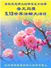 辽宁大法弟子庆祝世界法轮大法日(19条)