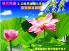 各行业大法弟子庆祝世界法轮大法日(27条)