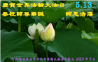 石家庄大法弟子庆祝世界法轮大法日(19条)