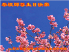 山东大法弟子庆祝世界法轮大法日(21条)