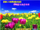 长春大法弟子庆祝世界法轮大法日(20条)