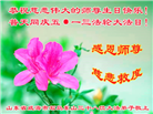 山东大法弟子庆祝世界法轮大法日(21条)