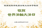 陕西大法弟子庆祝世界法轮大法日(22条)