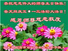 山东大法弟子庆祝世界法轮大法日(19条)