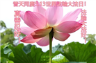 江苏大法弟子庆祝世界法轮大法日(22条)