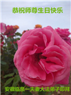 大陆大法弟子庆祝世界法轮大法日(27条)