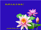 秦皇岛大法弟子庆祝世界法轮大法日(20条)