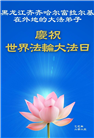 齐齐哈尔大法弟子庆祝世界法轮大法日(19条)