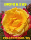 教育系统大法弟子庆祝世界法轮大法日(20条)