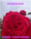 大陆大法弟子庆祝世界法轮大法日(27条)