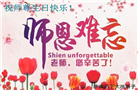 济南大法弟子庆祝世界法轮大法日(19条)