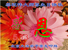明真相世人庆祝世界法轮大法日(19条)