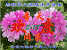 北京大法弟子庆祝世界法轮大法日(19条)