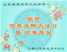 山东大法弟子庆祝世界法轮大法日(19条)