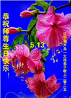 葫芦岛大法弟子庆祝世界法轮大法日(20条)