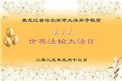 哈尔滨大法弟子庆祝世界法轮大法日(20条)