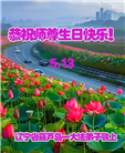 葫芦岛大法弟子庆祝世界法轮大法日(20条)