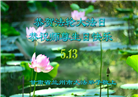 甘肃大法弟子庆祝世界法轮大法日(19条)