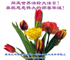 鸡西大法弟子庆祝世界法轮大法日(22条)