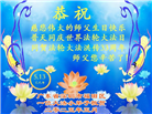 大法小弟子庆祝世界法轮大法日(20条)