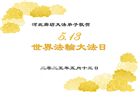 廊坊大法弟子庆祝世界法轮大法日(20条)
