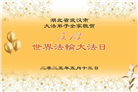 湖北大法弟子庆祝世界法轮大法日(18条)